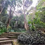 Seu Apartamento Em Copacabana